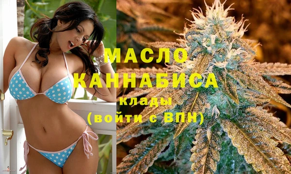 мдпв Козельск