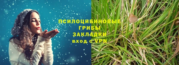 mdpv Кодинск
