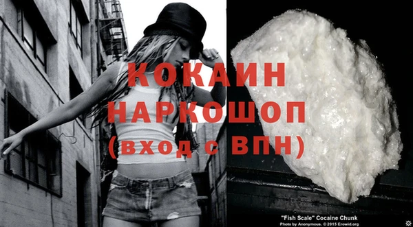 мдпв Козельск