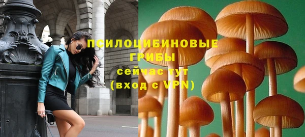 синтетический гашиш Козловка