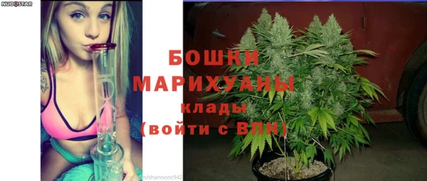 ГАЛЛЮЦИНОГЕННЫЕ ГРИБЫ Корсаков