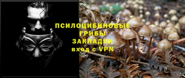 мдпв Козельск