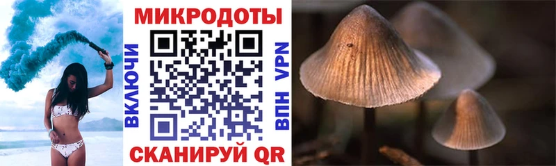 Галлюциногенные грибы Psilocybe  хочу наркоту  Касли 